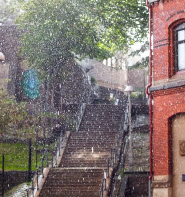 Kensington Avenue Block Club