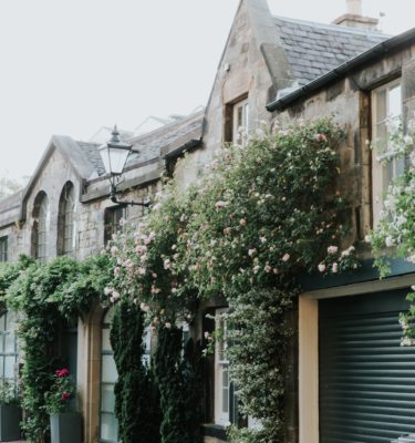 Hamlin Park Community & Taxpayers Association Fund